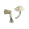Buy Louisiana Magic Mushrooms