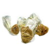 Buy Aztec Gods Magic Mushrooms
