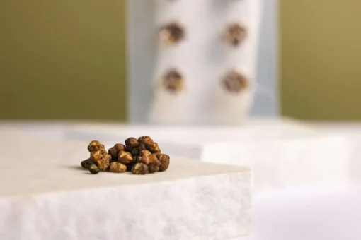 Microdosing pack truffles