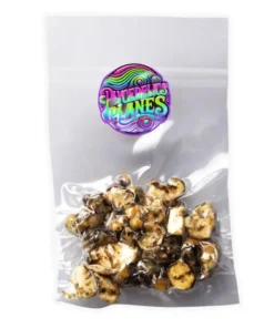 Psychedelic MAGIC TRUFFLES UTOPIA