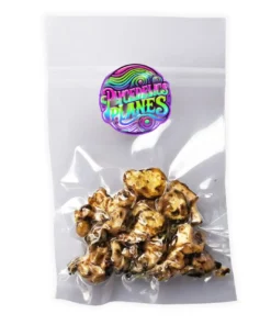 Buy Magic Truffles Hollandia