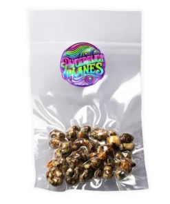 Buy Magic Truffles Atlantis