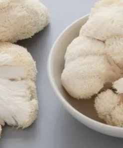 Lion's Mane Mushroom Near Me